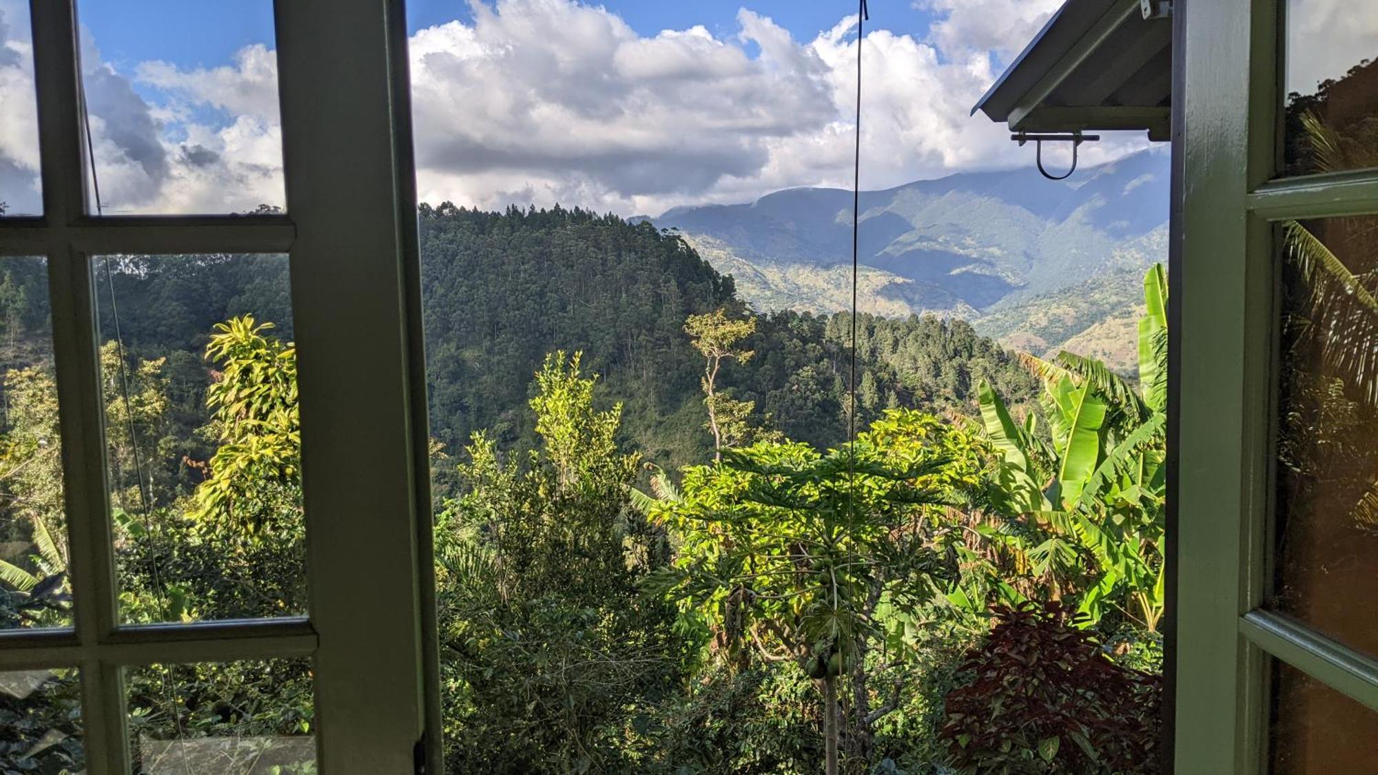 Lime Tree Farm, Blue Mountains Villa Mavis Bank Kültér fotó